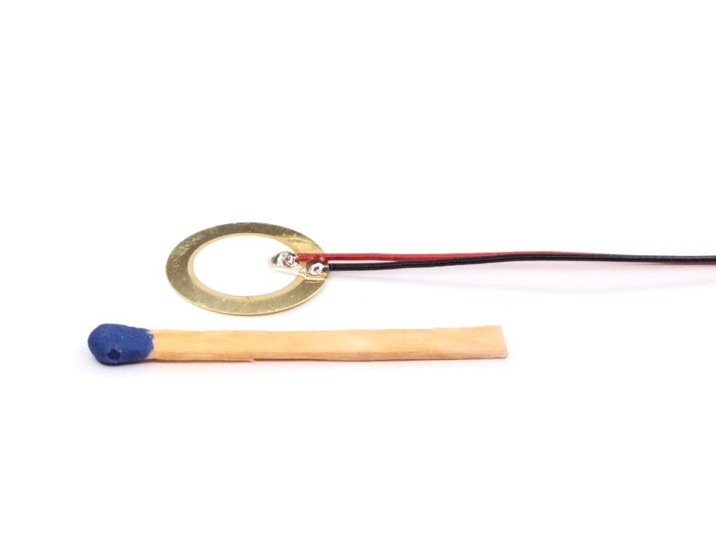 DIGISOUND F-PD-156.0W100 Piezo Disk with cable